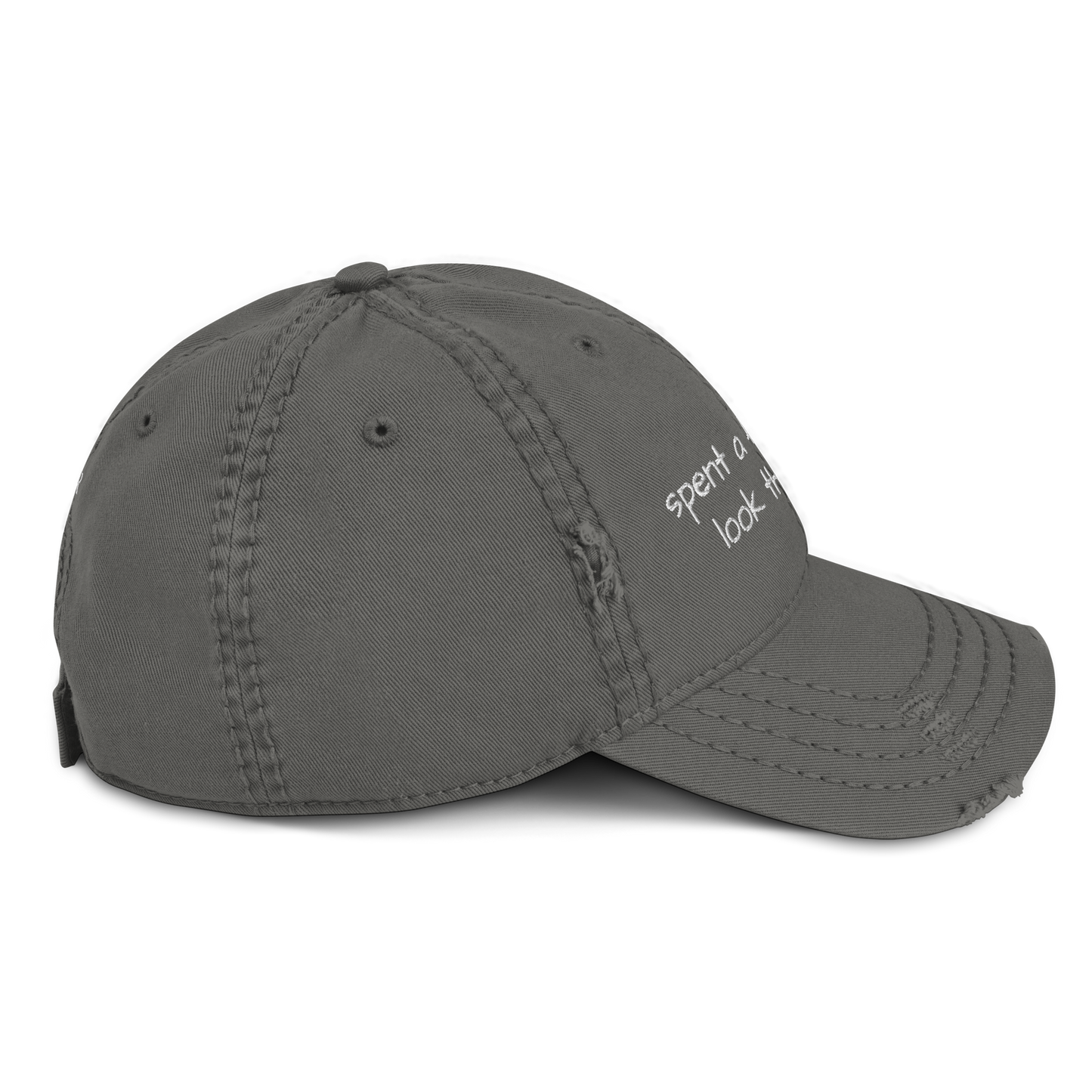 Distressed Broke Embroidered Hat